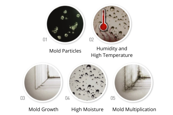 Home-Dehumidifiers-1