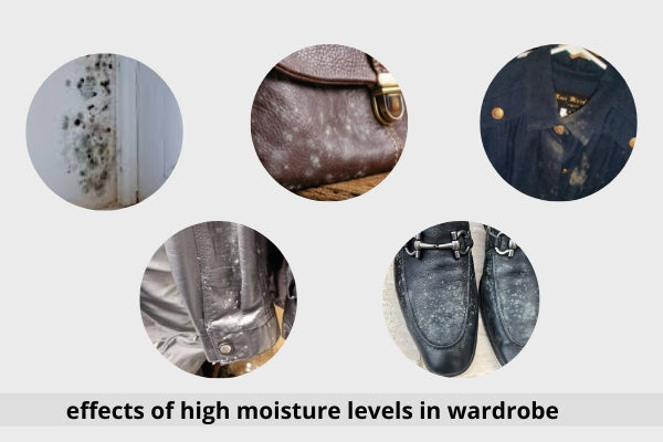 High-humidity-in-wardrobes.
