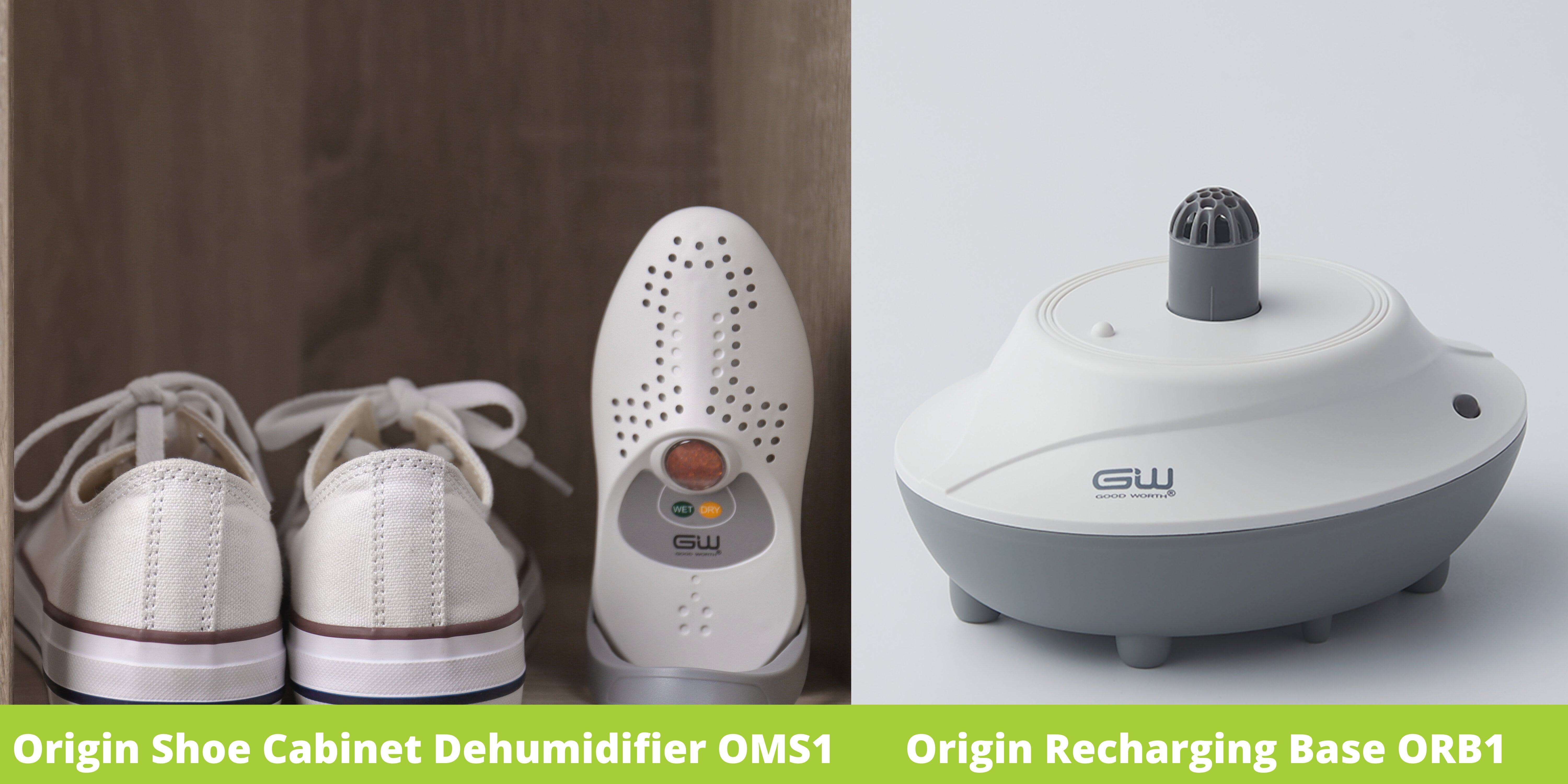 Shoe Dehumidifier